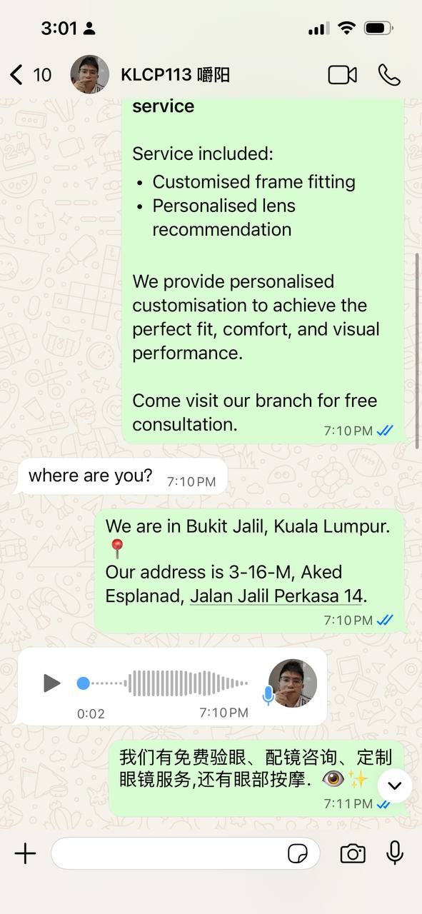 WhatsApp voice message analyzed by AI for automated response